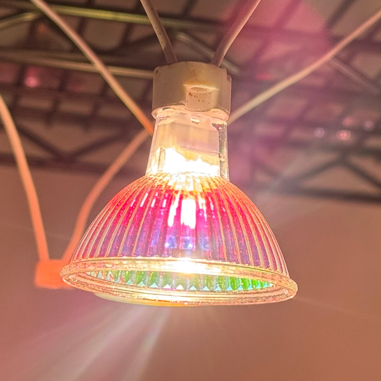 12V 50W Halogen White Light MR16 Lamp