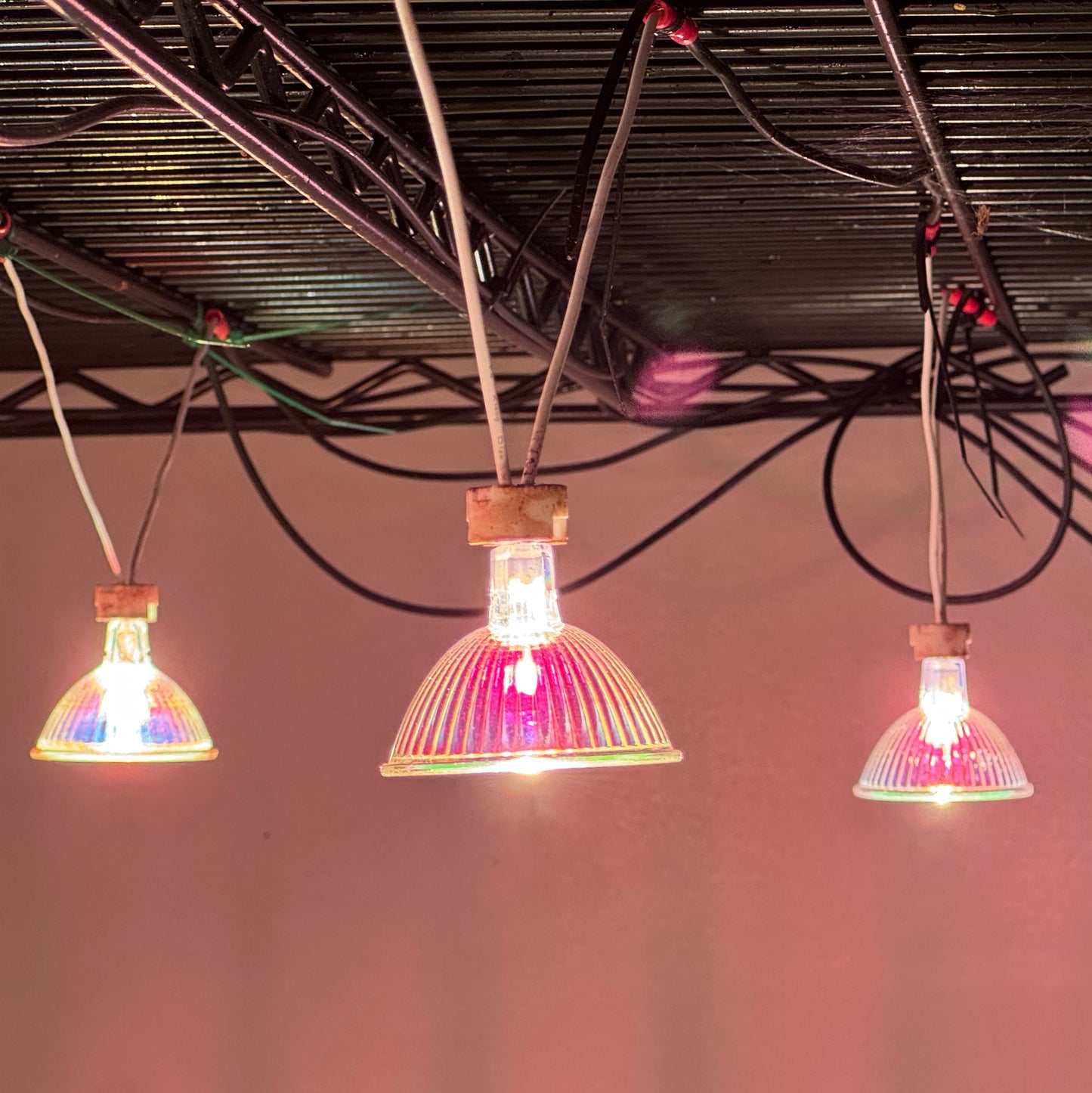 12V 50W Halogen White Light MR16 Lamp