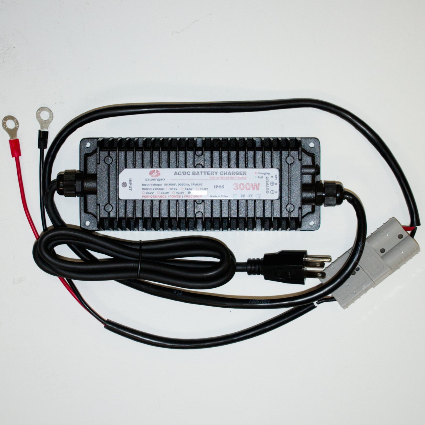 120-240V PF>0.95 High Efficiency Battery Charger for 24V/48V LFP Batteries