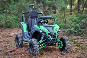 48V Mini UTV 1200W Full Suspension